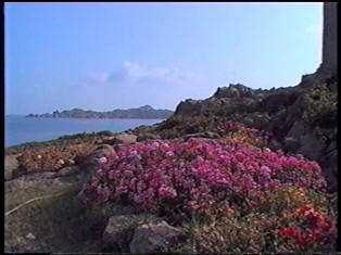 sardegna