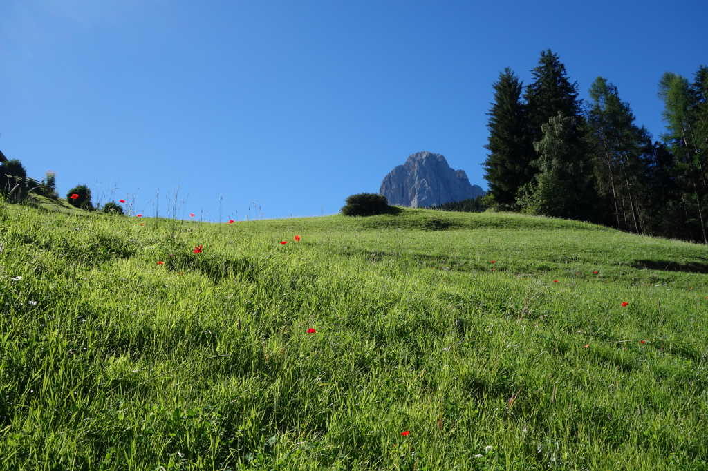 Mercoledì 24 - Passeggiata da S. Cristina a Selva